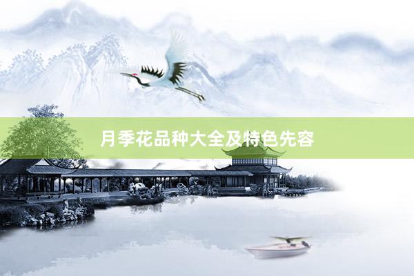月季花品种大全及特色先容